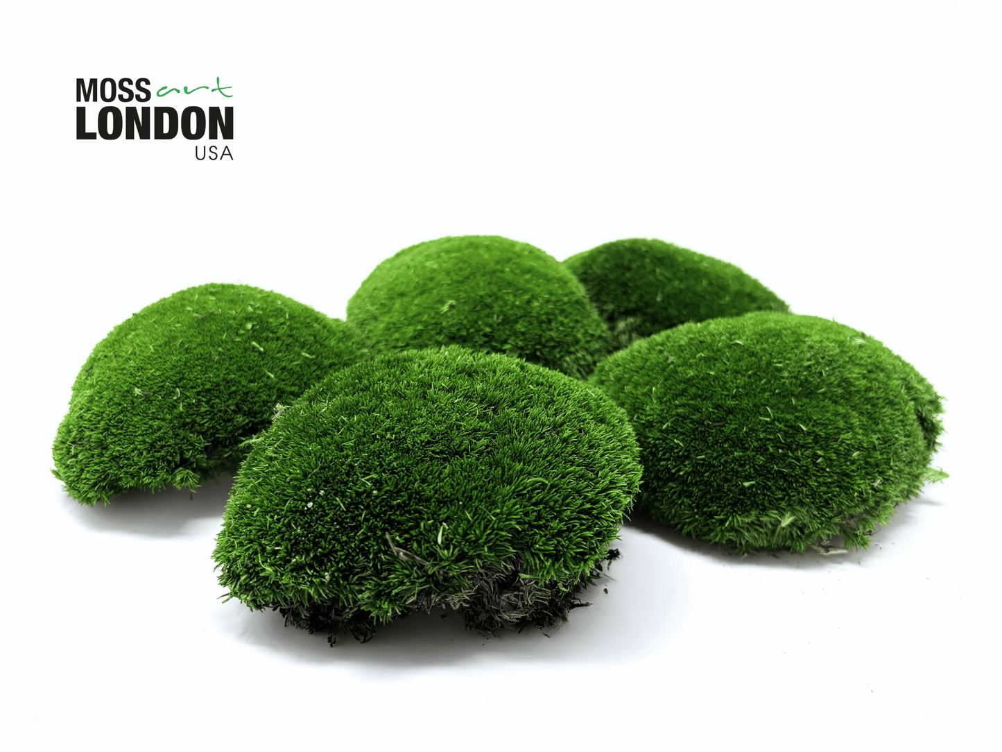 Forest Green Ball Moss
