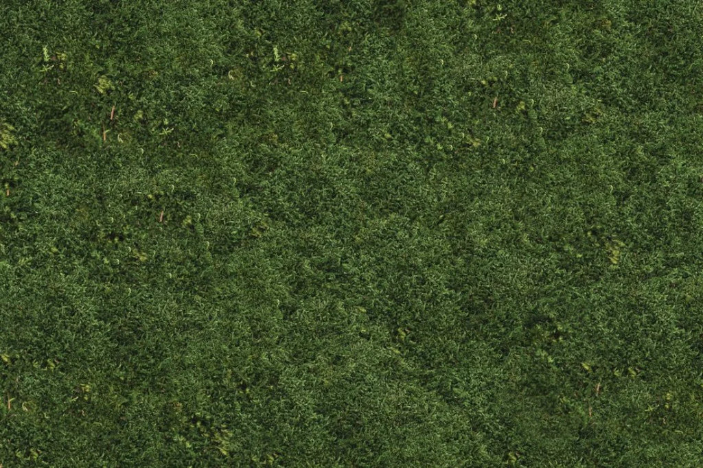 Flat Moss