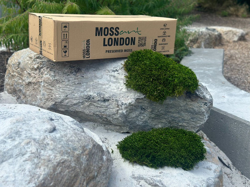 Best Wholesale Preserved Moss Suppliers in the USA