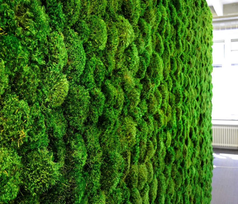 How Much Preserved Moss Do You Need for a Moss Wall?
