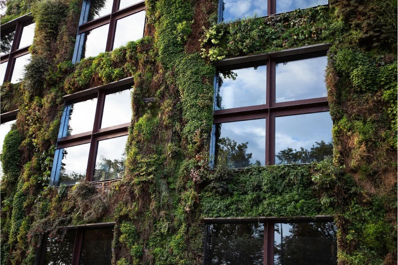Preserved Moss vs. Living Green Walls: Why Longevity Matters
