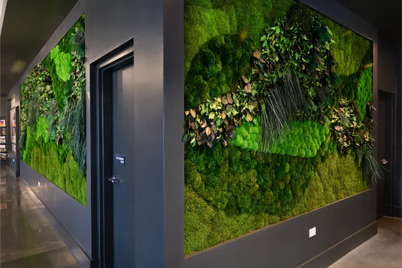 How to Mix Sheet, Long, Mood, and Ball Moss for Stunning Design