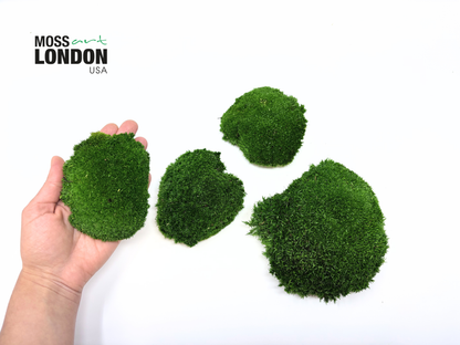 Forest Green Ball Moss