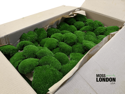 Forest Green Ball Moss