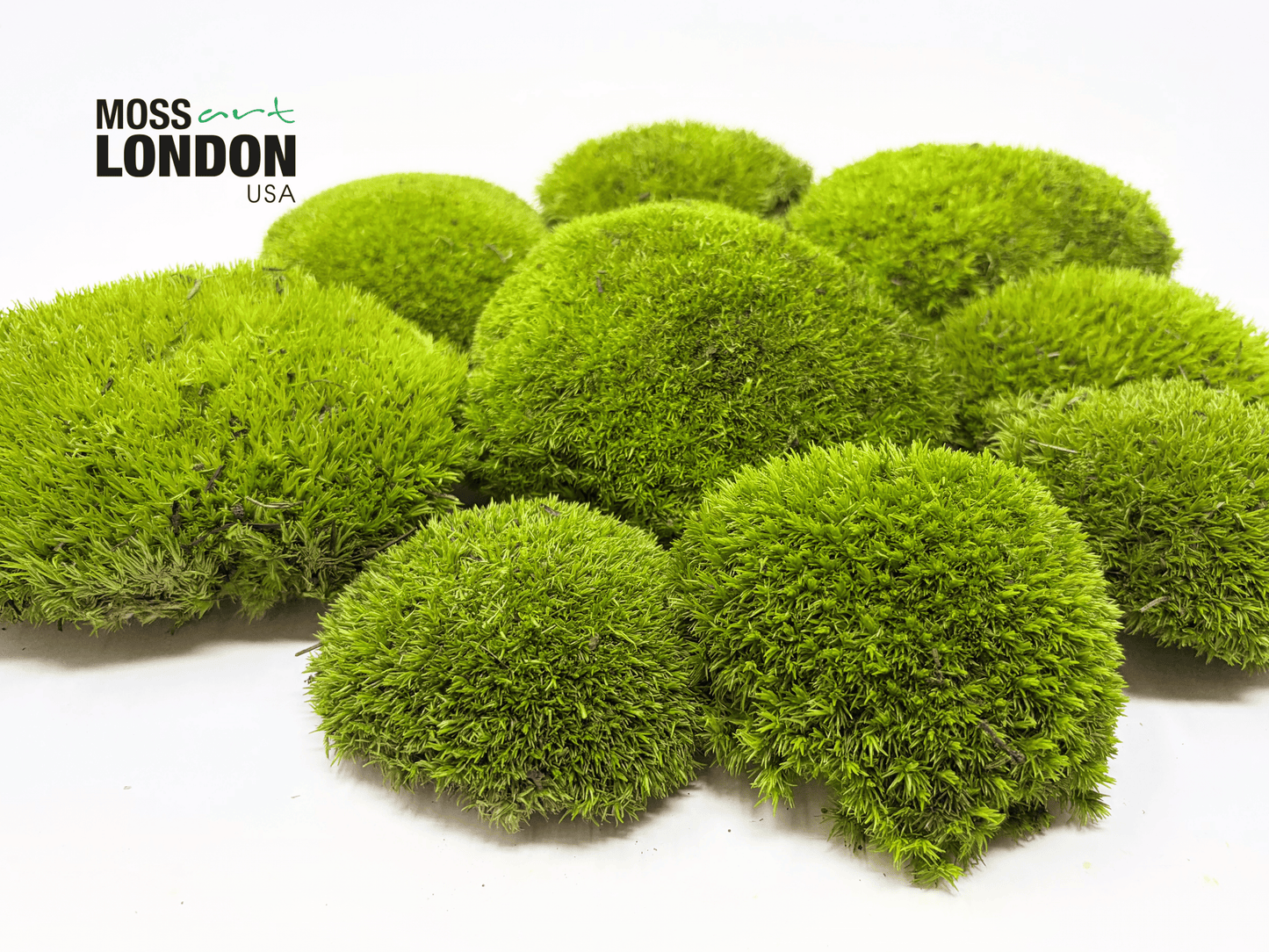Kiwi Green Ball Moss