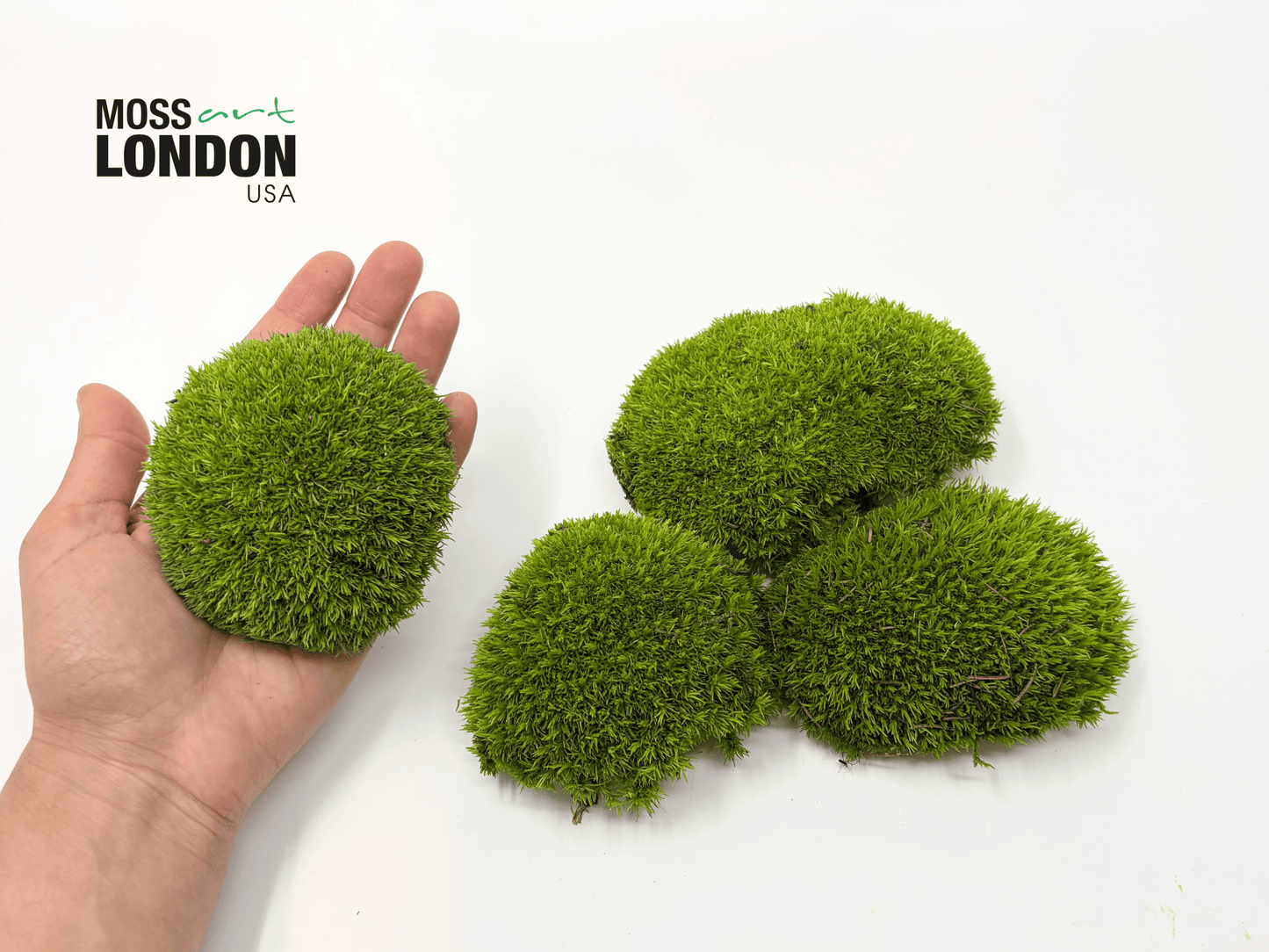Kiwi Green Ball Moss