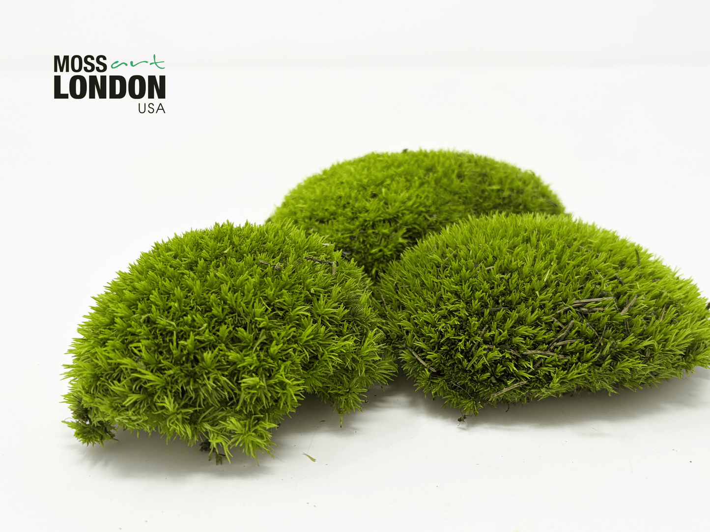 Kiwi Green Ball Moss