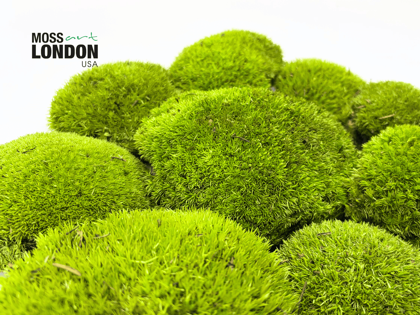 Kiwi Green Ball Moss