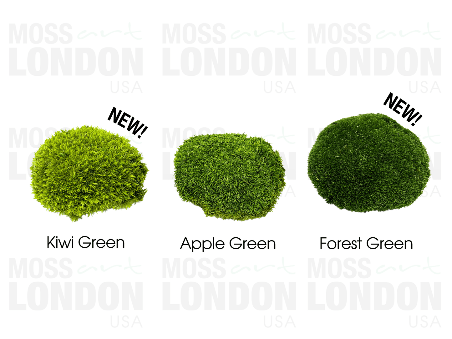 Kiwi Green Ball Moss