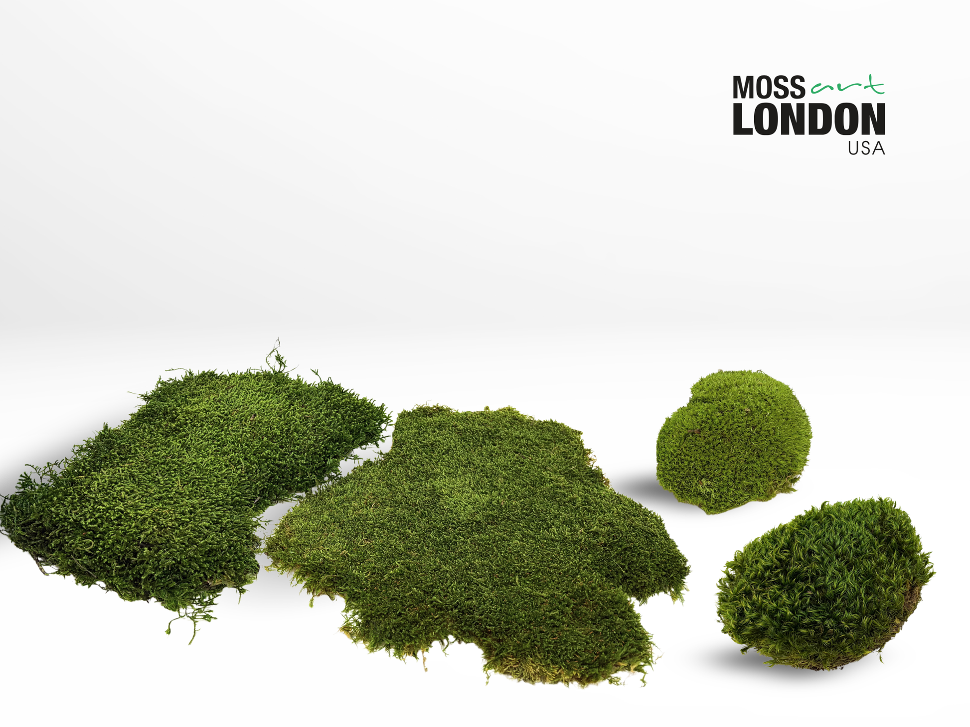 Single Piece of Preserved Long Moss, Sheet Moss, Ball Moss and Mood Moss Shown Side by Side