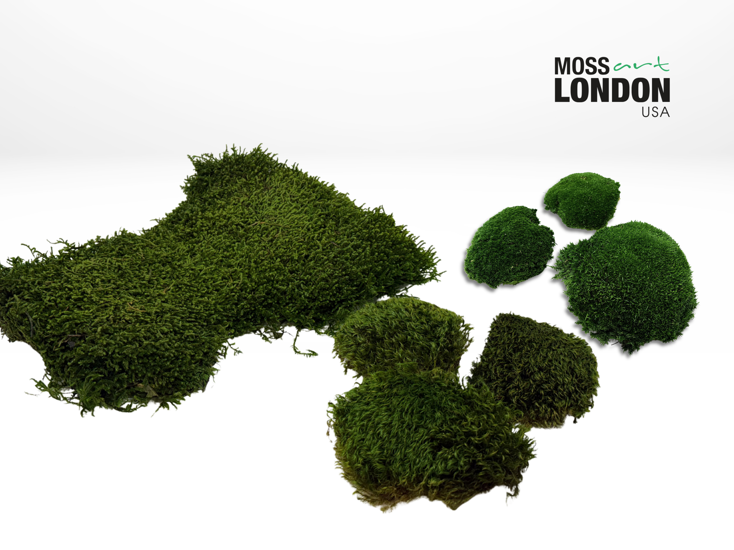 Preserved Long Moss, Mood Moss and Forest Ball Moss for Moss Wall Art Designs
