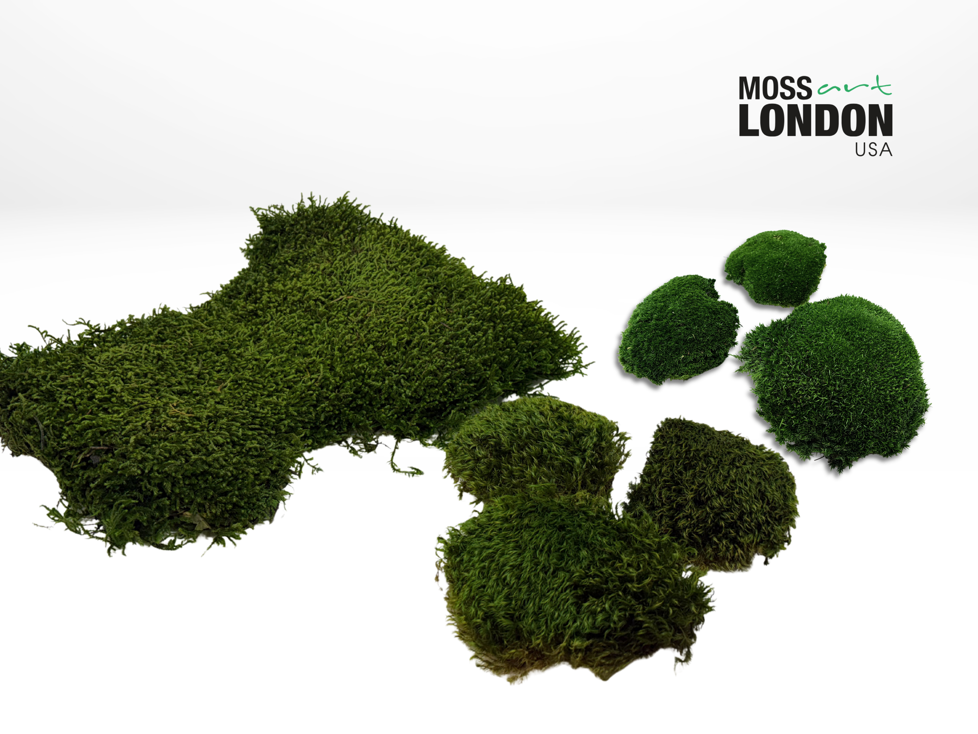 Preserved Long Moss, Mood Moss and Forest Ball Moss for Moss Wall Art Designs