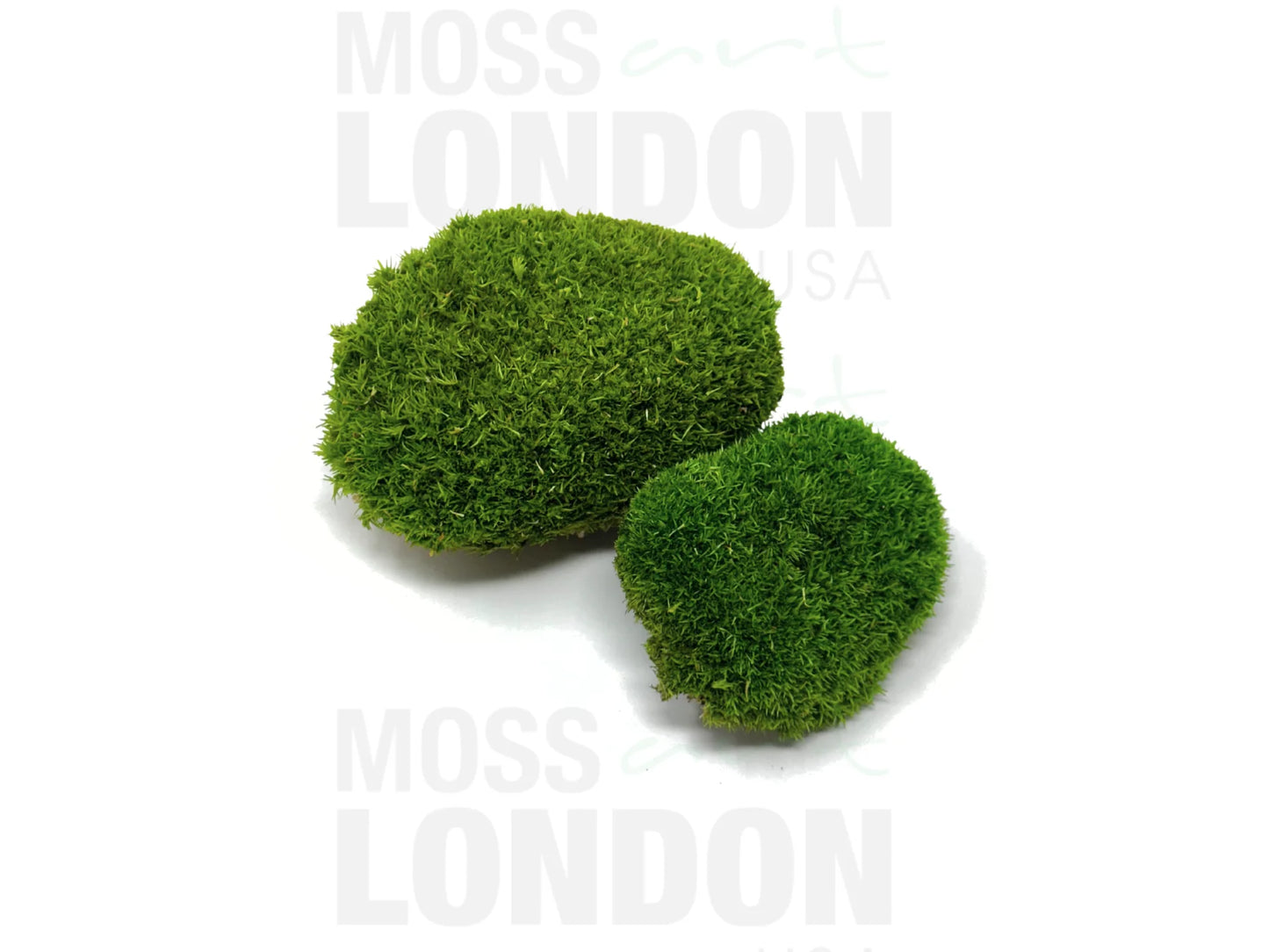 Ball Moss