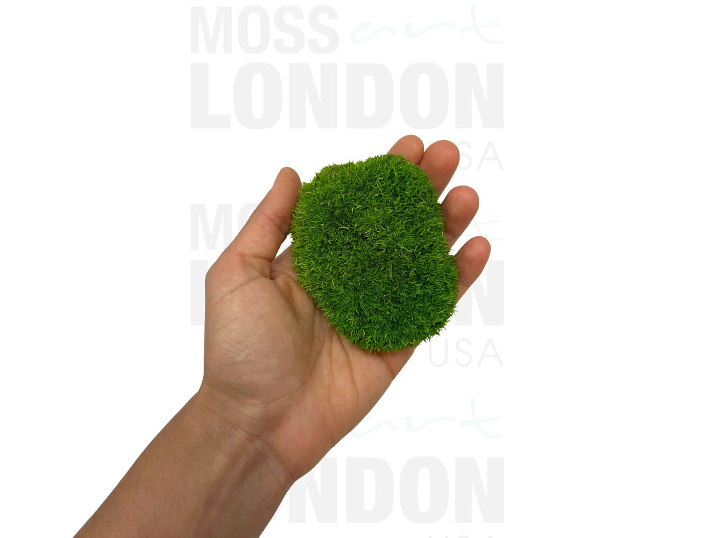 Ball Moss