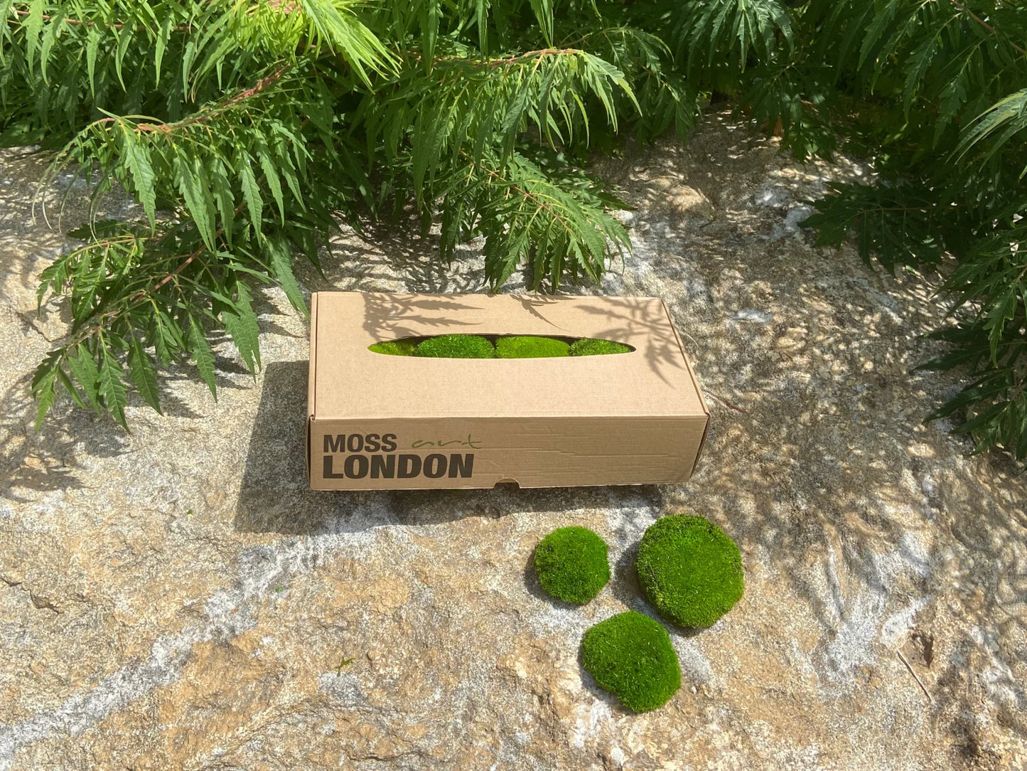 Ball Moss