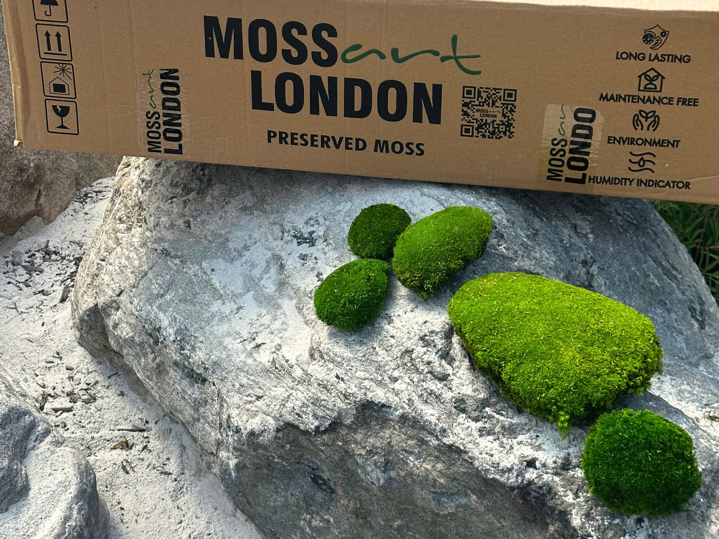Ball Moss