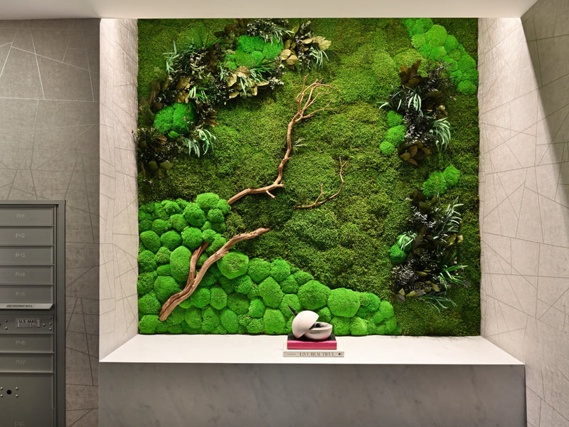 Feature Image