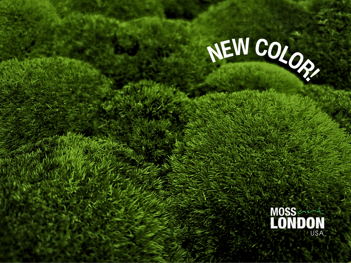 Forest Green Ball Moss