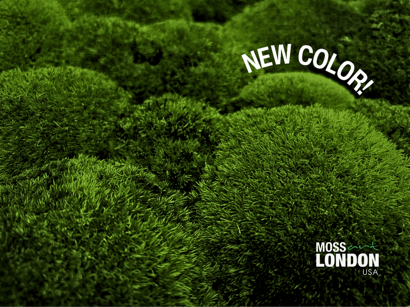 Forest Green Ball Moss