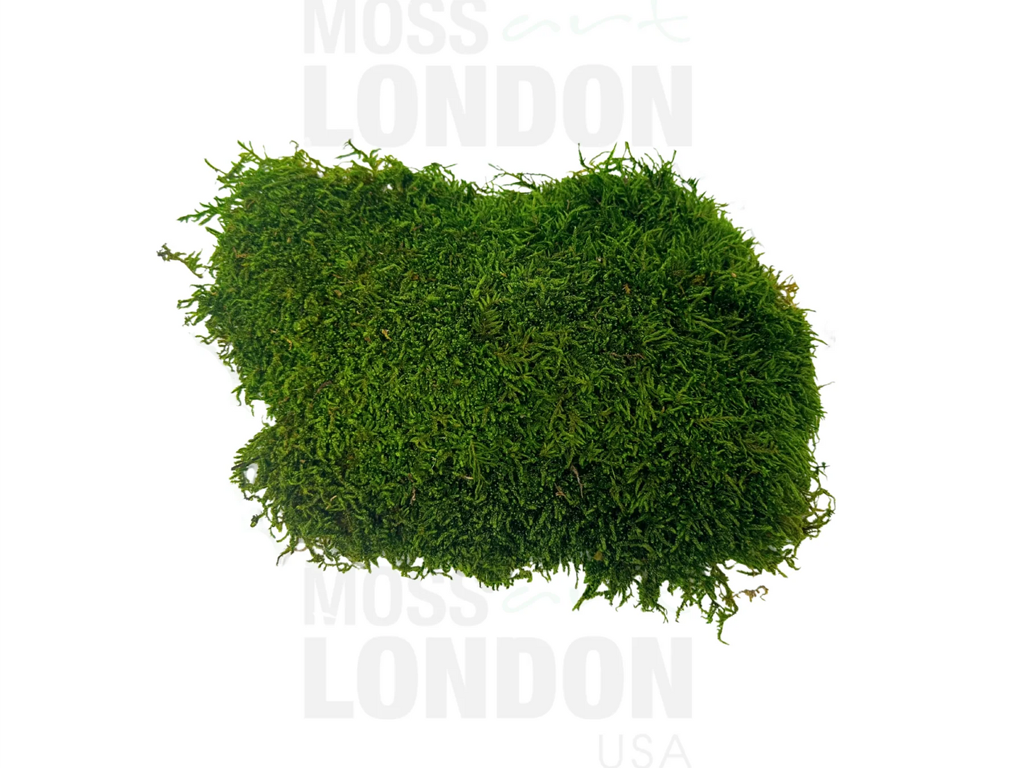 Flat Moss