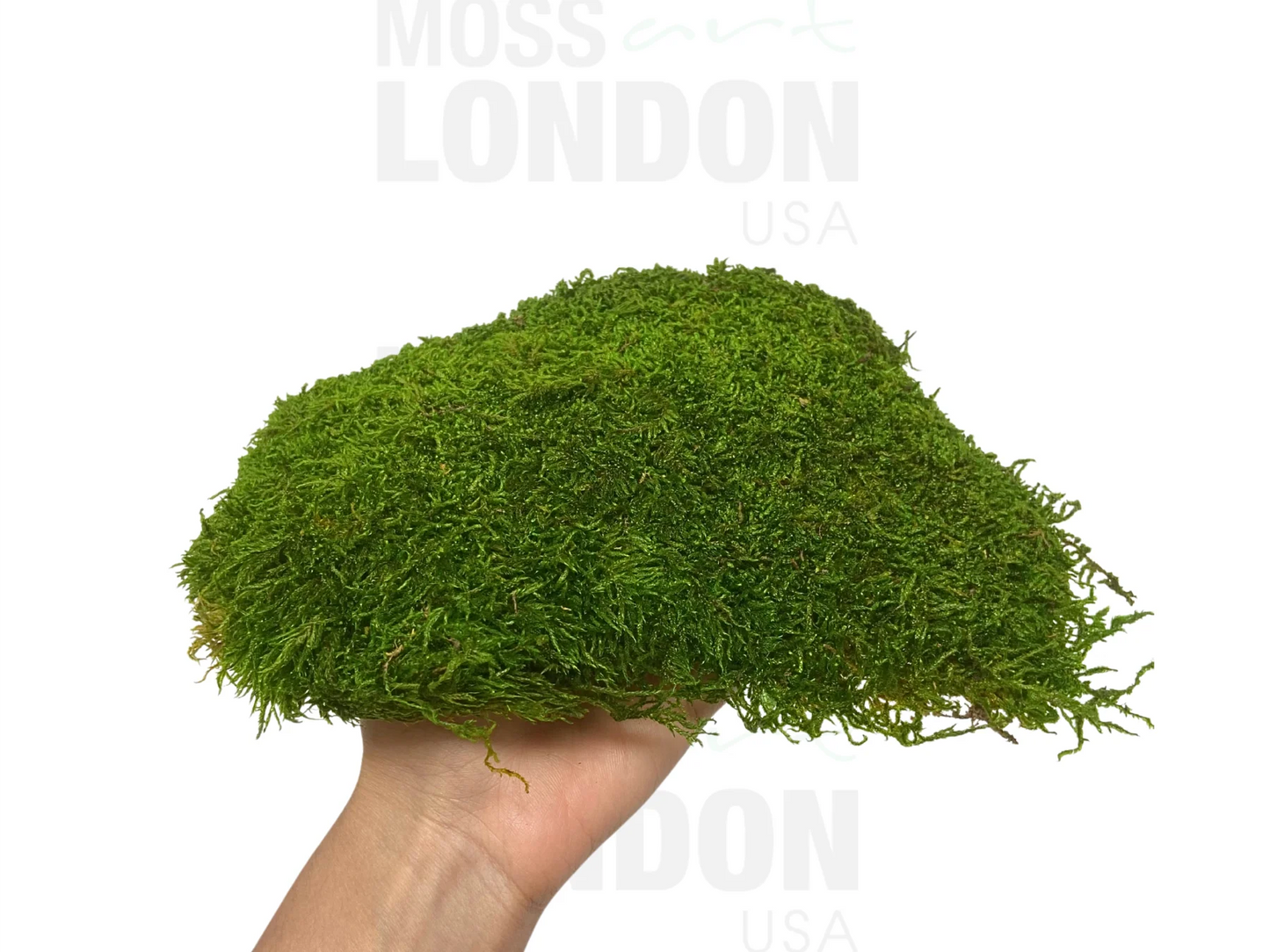 Flat Moss