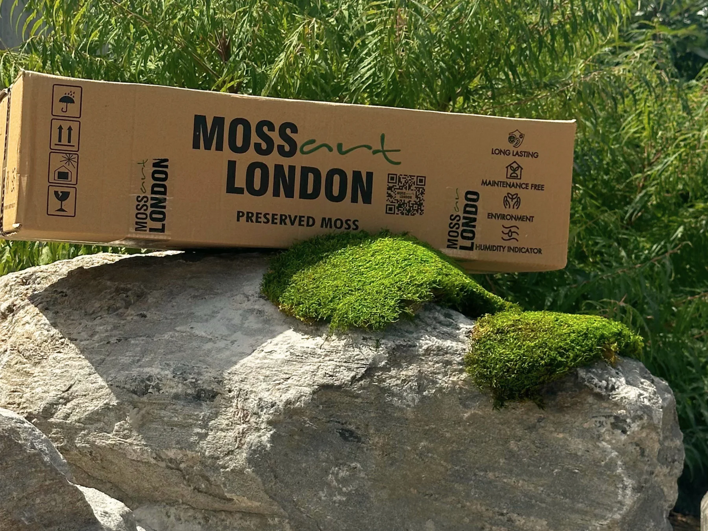 Flat Moss