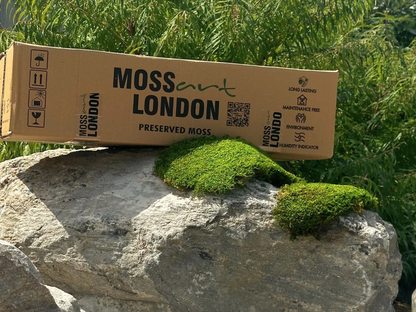 Flat Moss