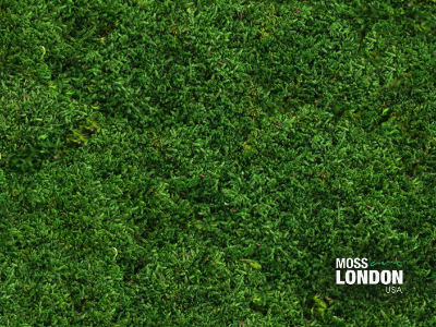 Textured green long moss surface with 'Moss Art London USA' branding