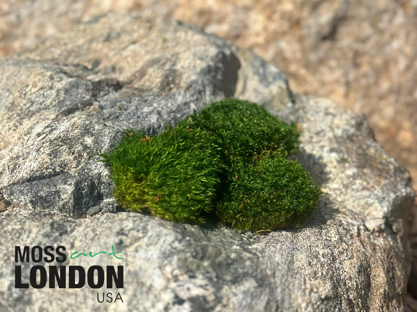 Mood Moss