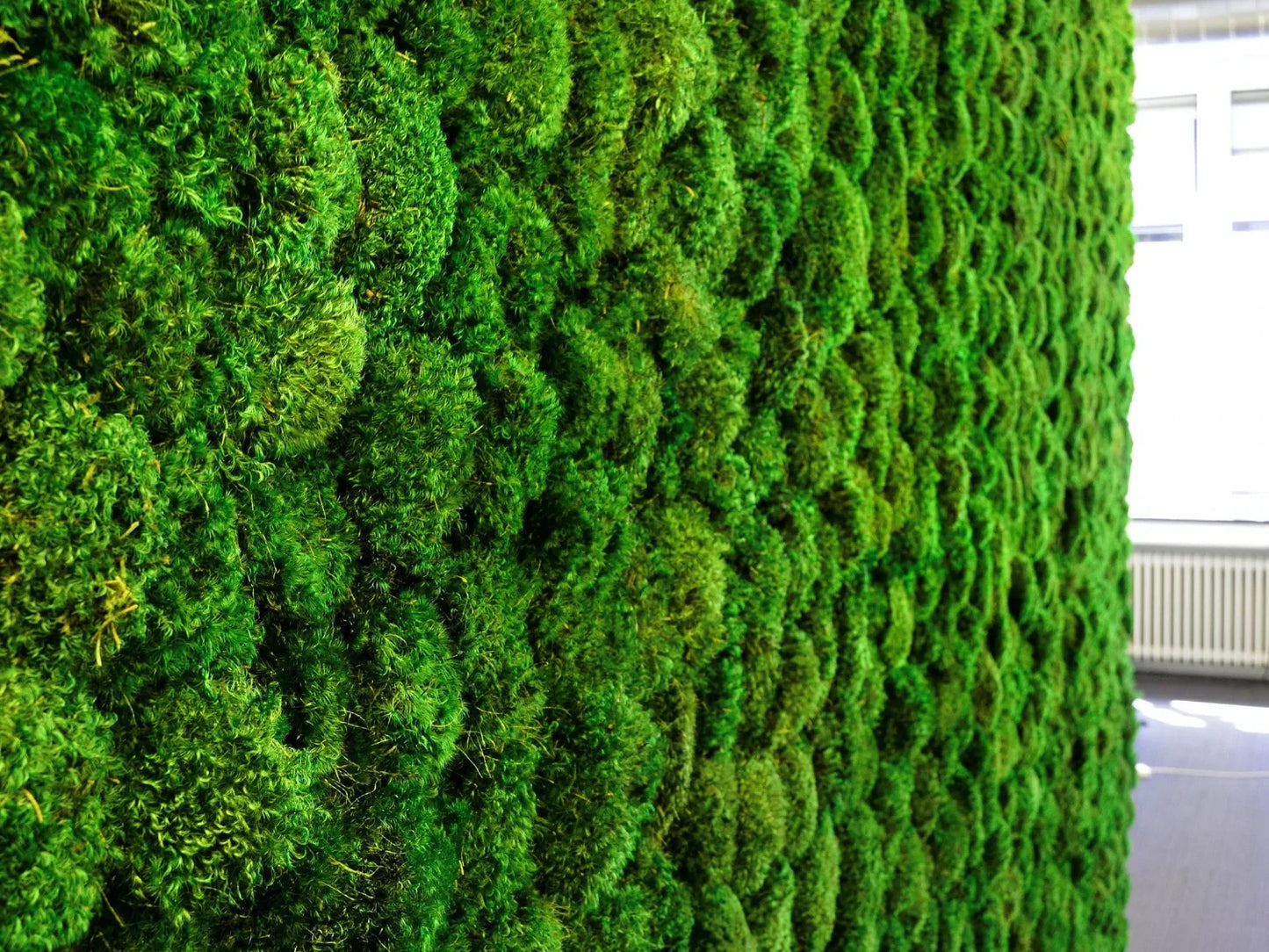 Mood Moss