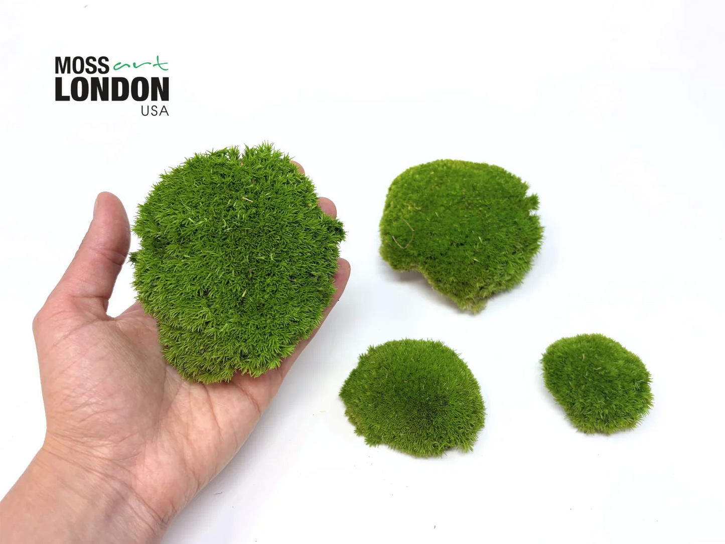 Apple Green Ball Moss Small/Medium