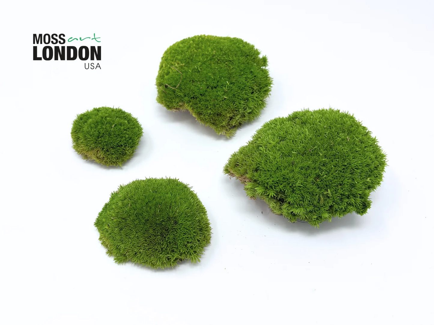 Apple Green Ball Moss Small/Medium